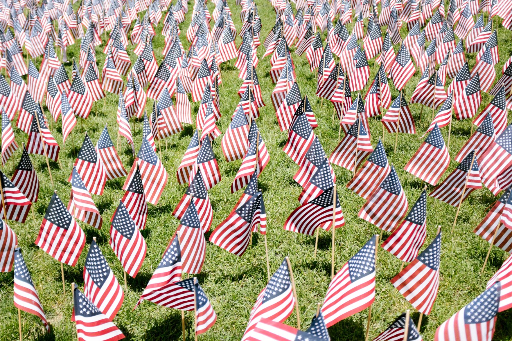 Field of Flags - Thomas Loizeau - Unsplash.jpg